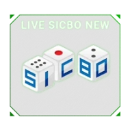 slip80s.com